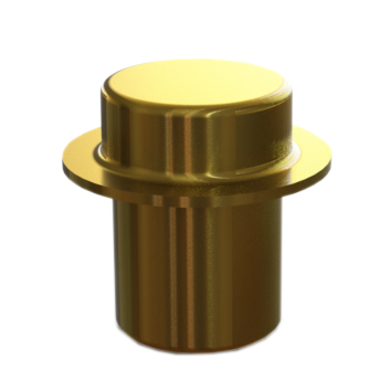Insert Stopping Plug for Cable gland E204/E205 For Sealing ring Size D2 - Brass